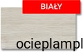 bialy.jpg