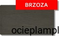 brzoza.jpeg