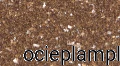 Majstertynk-majsterpol-marmolit-tynk-mozaikowy-do-tynkowania-elewacji-kalisto