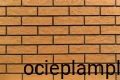 RP 08