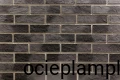 1461