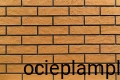1465
