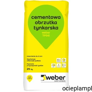 weber TP541 Obrzutka tynkarska, tzw. szpryc
