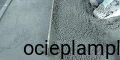 1564
