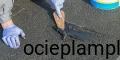 1629