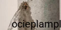 1643