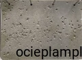BETON ARCHITEKTONICZNY LIGHT GREY