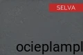 fullsizeoutput_b04.jpeg