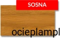 sosna.jpg